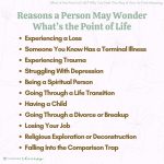 What is the Point of Life? Unveiling Life’s True Purpose